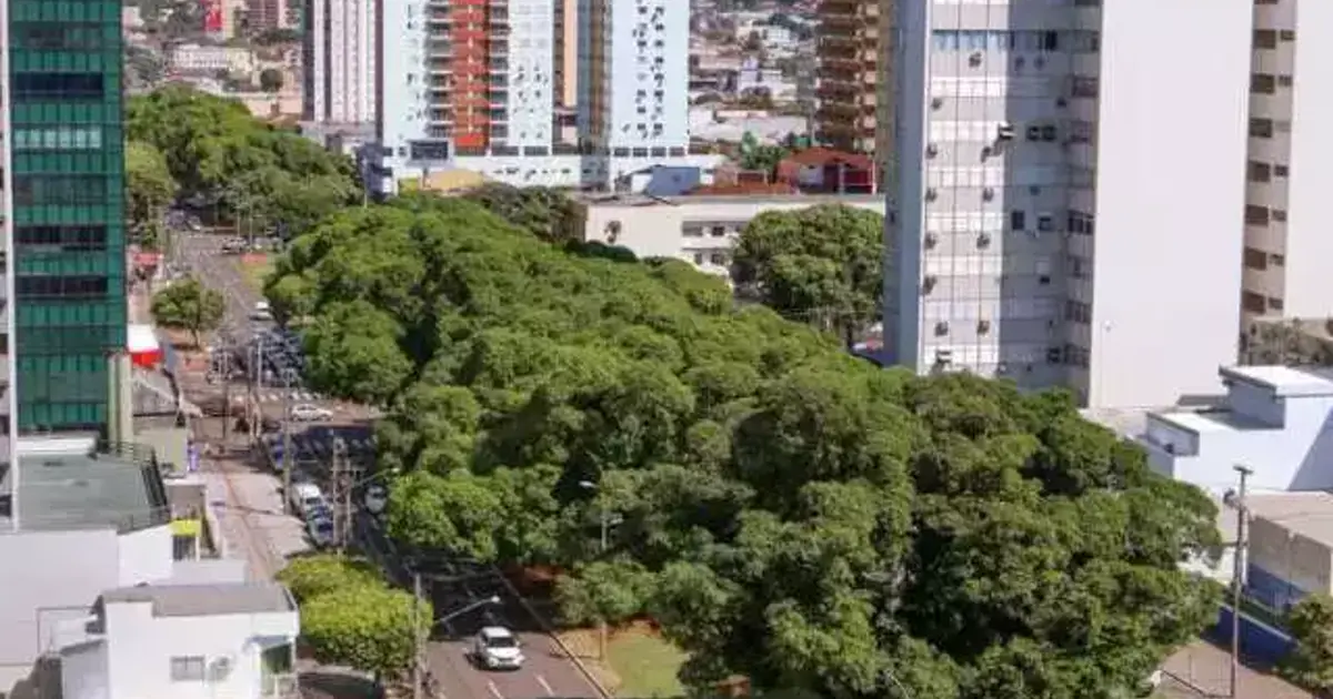 Prefeitura de CG lança pacote para destravar licenciamentos