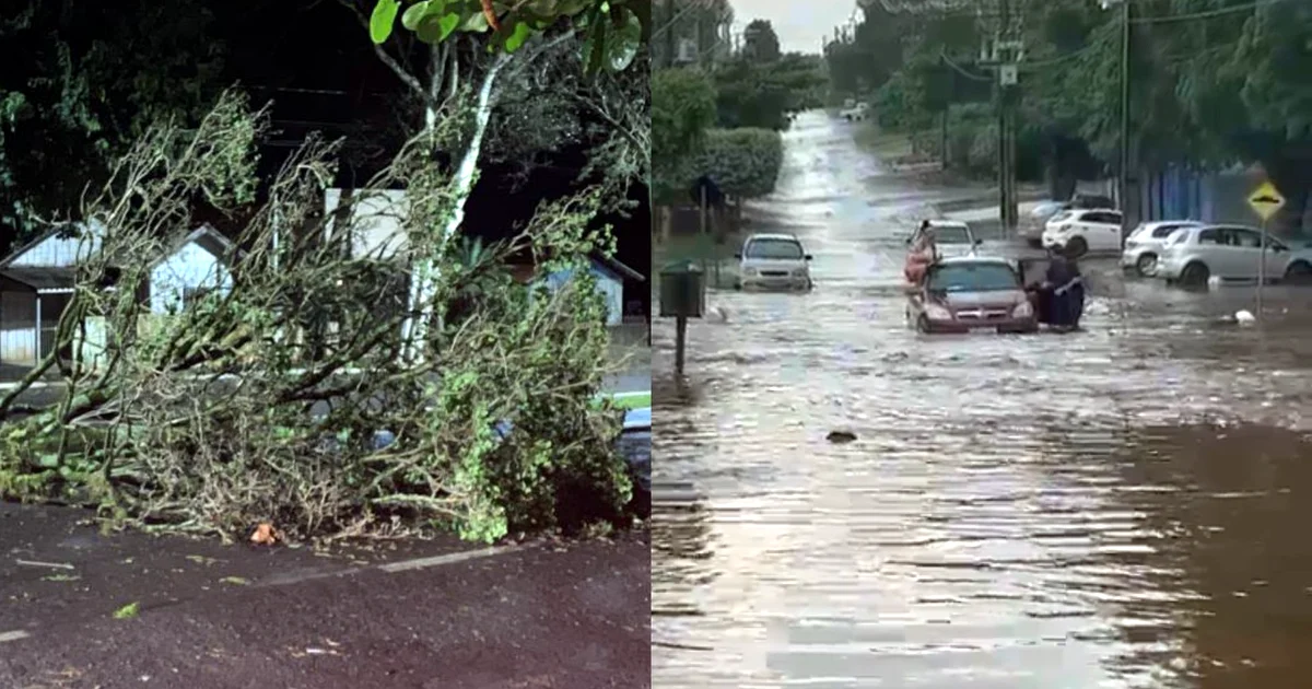 Alagamentos, queda de árvores e granizo: temporais provocam estragos no Paraná