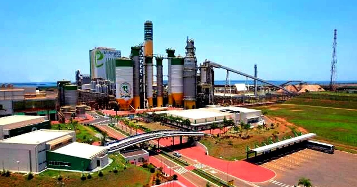 Cinco Grandes Organizações de MS Tornam Públicos Inventários Detalhados de Emissões de Carbono