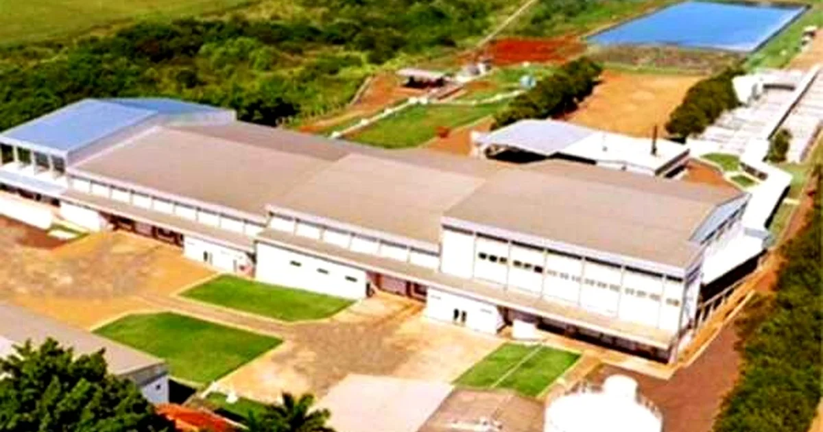 Falência do Frigorífico Balbinos Abre Nova Disputa Judicial Milionária com Credores em MS