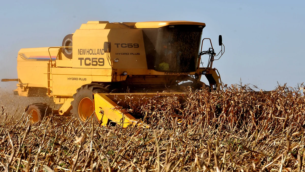 Famasul Confirma Safra Recorde de Milho em Mato Grosso do Sul com Produção Ultrapassando 11 Milhões de Toneladas