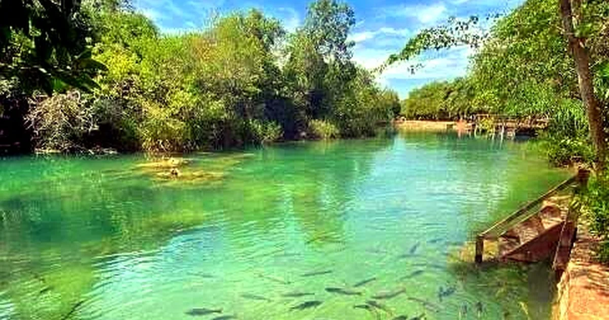 Festival de Inverno de Bonito 2026 Abre Portões com Shows Nacionais, Ecoturismo e Alta Ocupação Hoteleira em MS