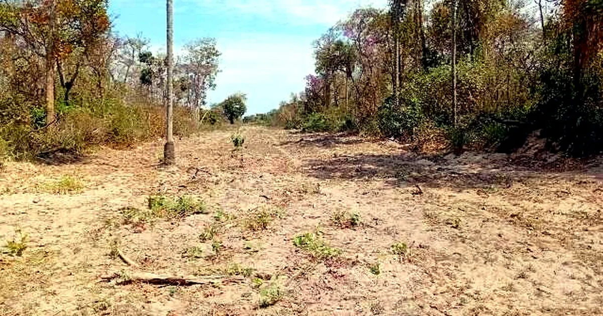 Ibama Multa Cinco Fazendeiros em R$ 22,5 Milhões por Incêndios Provocados no Pantanal de MS