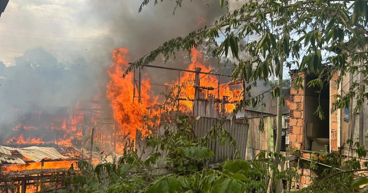 Seca e Calor: Manaus Registra Quase 1,2 Mil Incêndios e Ocorrências Florestais Sobem 300%