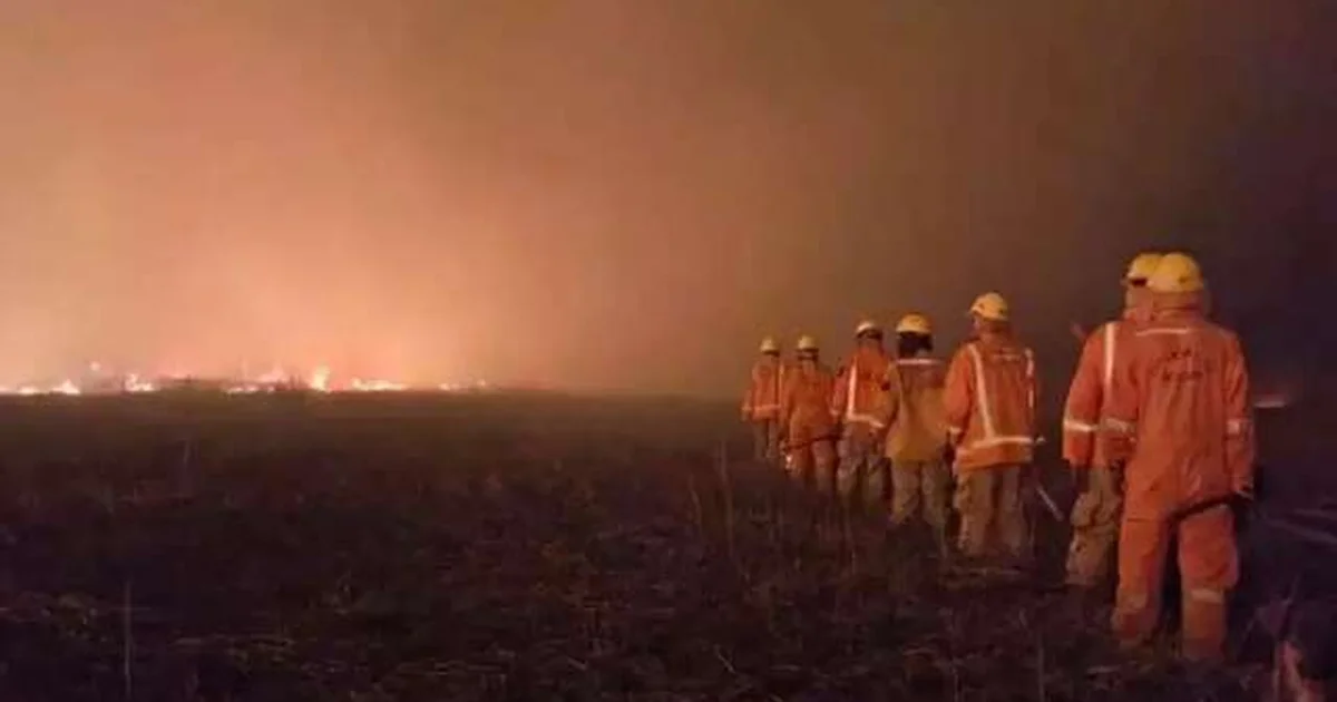Queimadas em MS Atingem 101,5 Mil Hectares em 2026 e Fumaça Intensa Provoca Bloqueios e Acidentes na BR-163