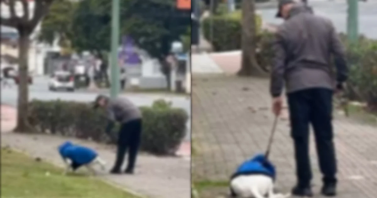 VÍDEO flagra homem agredindo cão durante passeio e tutor é preso em Balneário Camboriú