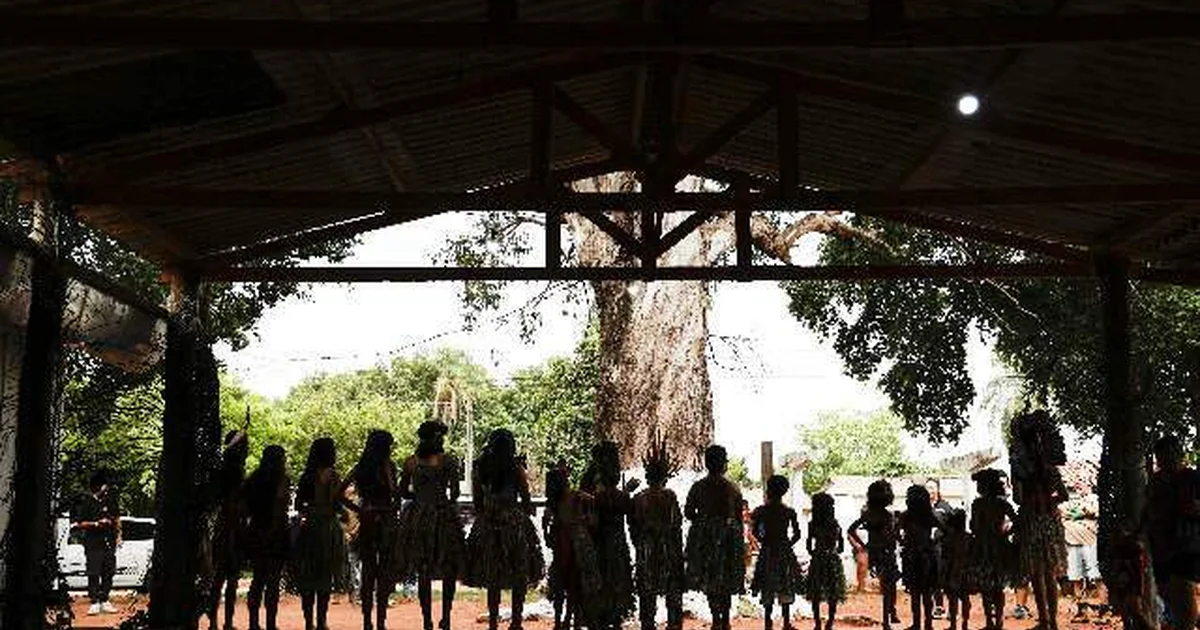 Acidente na MS-306 Deixa Família de Chapadão do Sul Ferida Após Colisão com Carreta